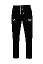 Gaviões_CalçasFT.webp